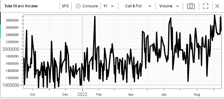 Ivolatility spot price chart