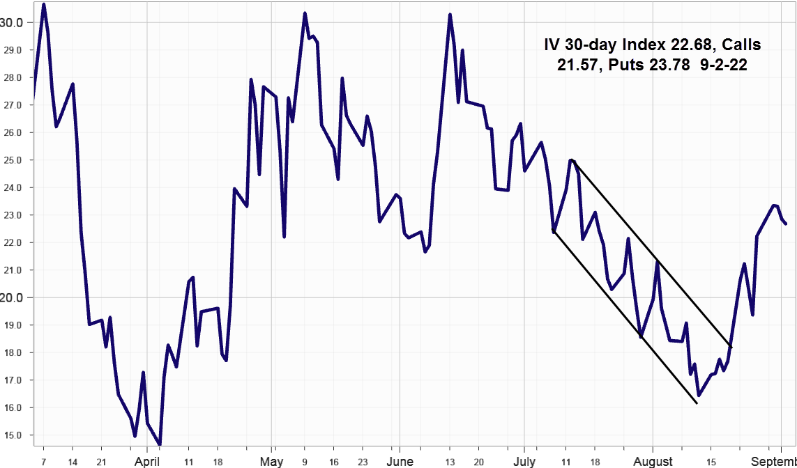 Ivolatility spot price chart